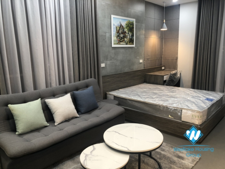 Studio apartment for rent, one bedroom, Bach Khoa University
